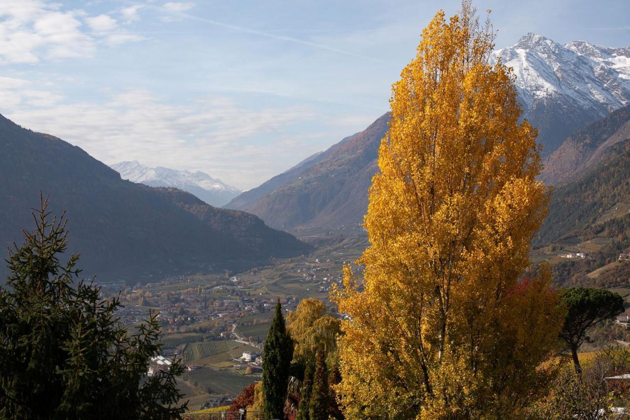 Pension Leimerhof Tirolo Dış mekan fotoğraf